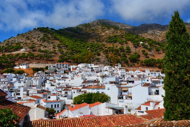 28234812_10156282214269446_1357586263803370348_o (1)